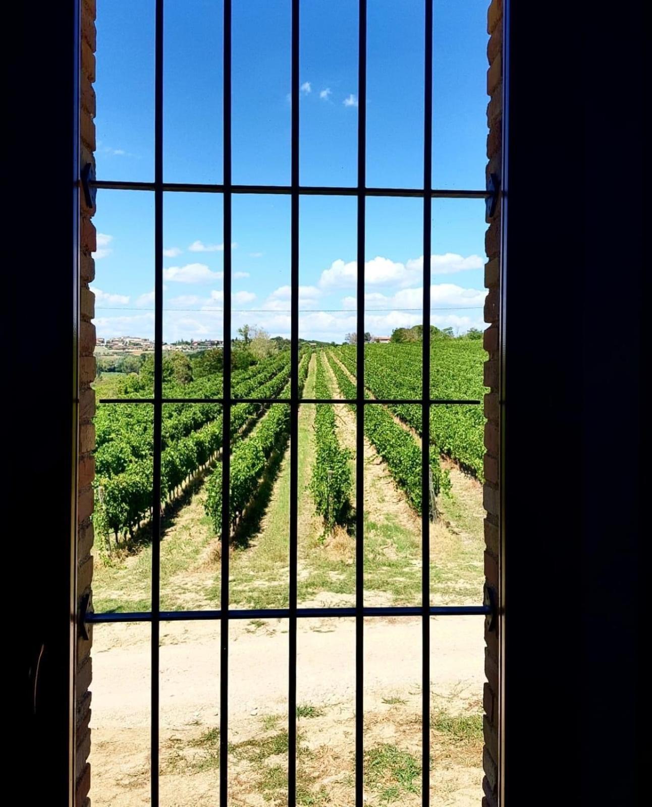Agriturismo Il Divin Casale 托尔吉亚诺 外观 照片