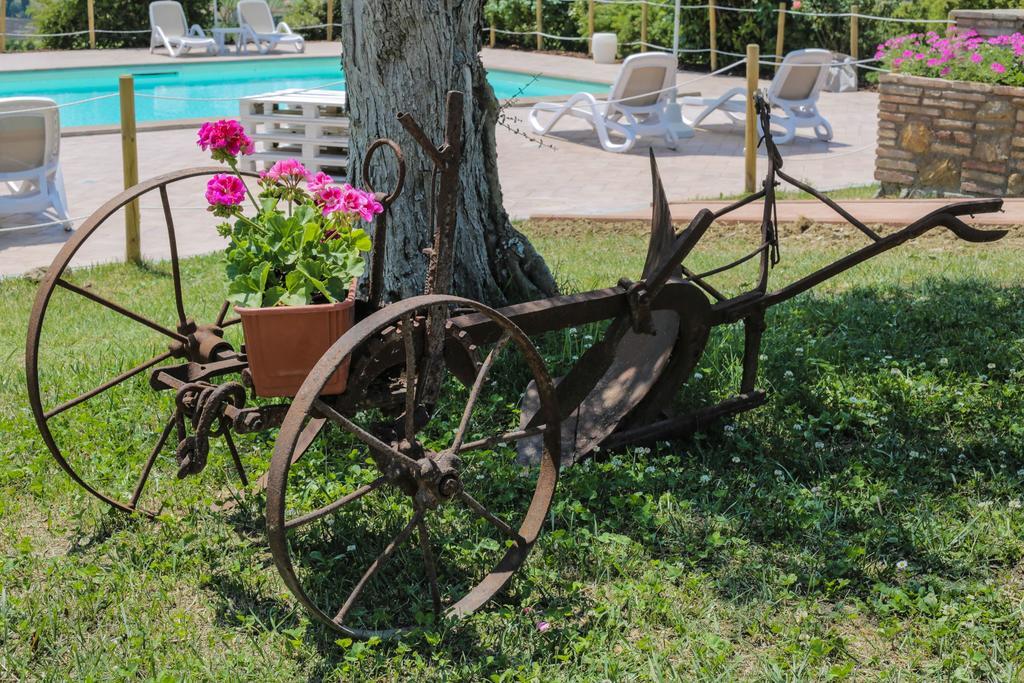 Agriturismo Il Divin Casale 托尔吉亚诺 外观 照片