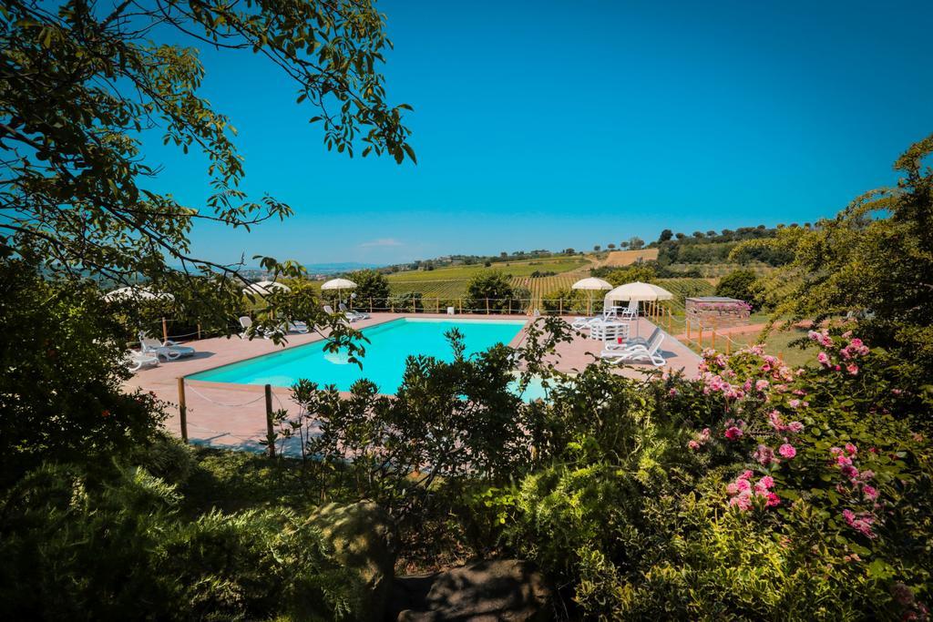Agriturismo Il Divin Casale 托尔吉亚诺 外观 照片